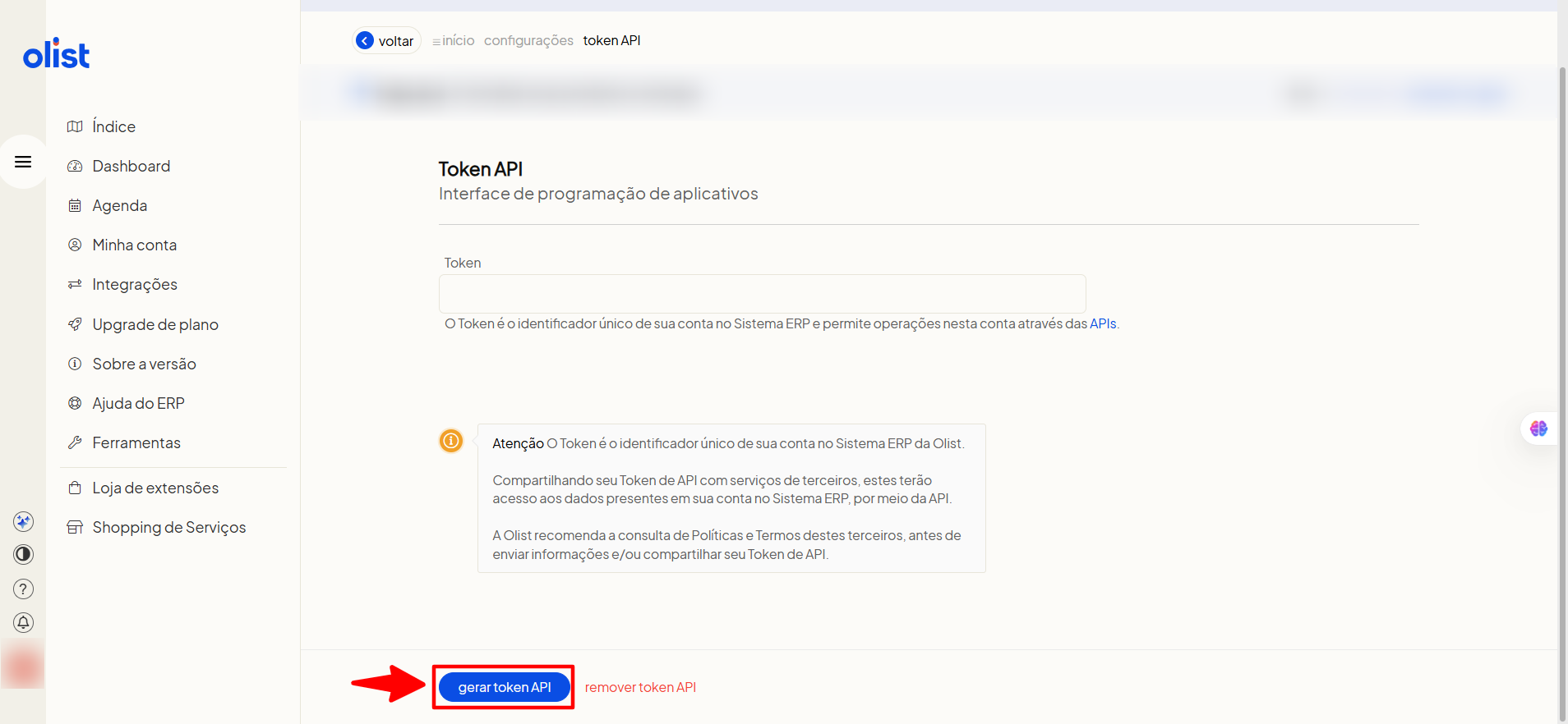 Gerando token API