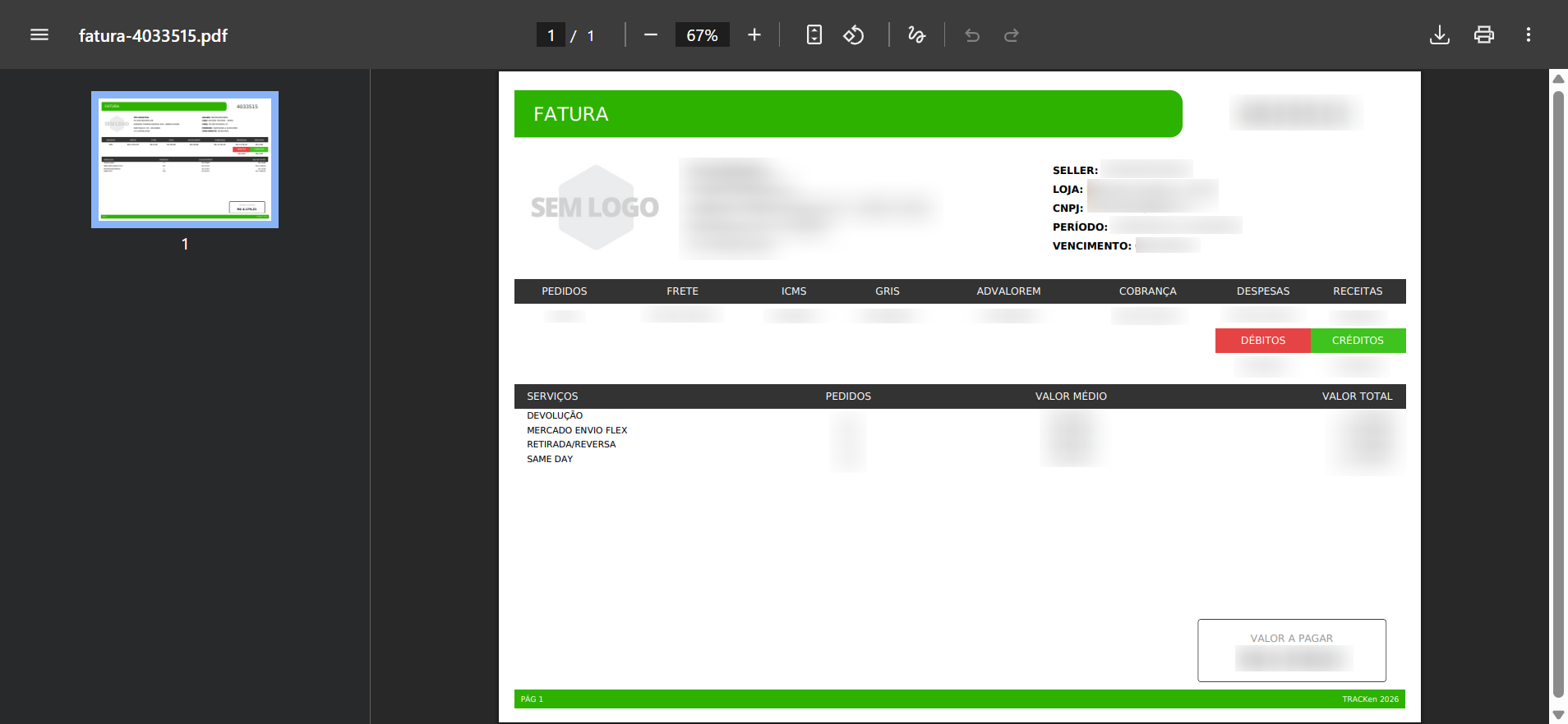 Exemplo do PDF da fatura